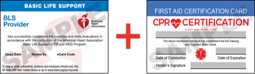 Sample American Heart Association AHA BLS CPR Card Certification and First Aid Certification Card from CPR Certification Anchorage